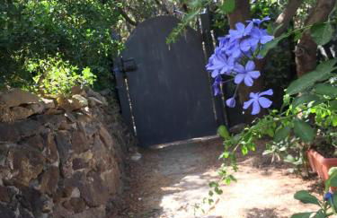 VILLA VITTORIA with LARGE PRIVATE HEATED SWIMMING POOL COMPLETE with HIDROMASSAGE FOR EXCLUSIVE USE , SEA and BEACH VIEW, 150 METERS FROM THE BEACH, POOL SURFACE 60 mq, POOL DEPTH 140 cm , FREE PARKING AND WIFI - Foto 36