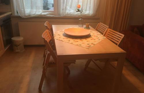 Elegante Ferienwohnung mit Kaminofen im Thüringer Wald - Foto 22