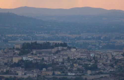 Azienda Agrituristica Il Moraiolo - Photo 33