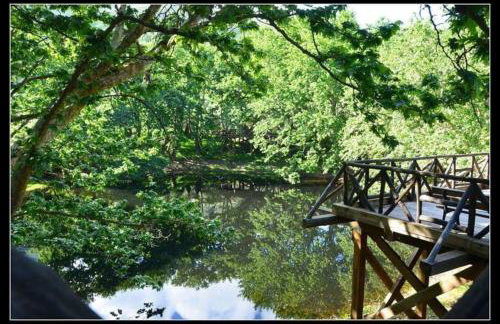 Horio House - Foto 20