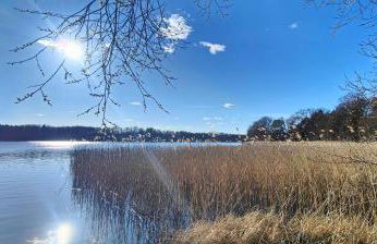 Ferienhaus Im Wäldchen in See Nähe - Photo 36