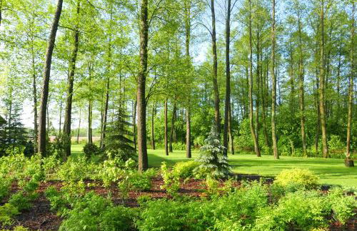 Siedlisko Wnukowo - Foto 35