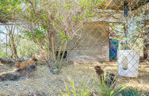 Sunroom and Sauna! Mtn-View Prescott Valley Home - Foto 28