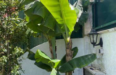 Retreat Villa, Full Amenities, up to 40ppl - Foto 22