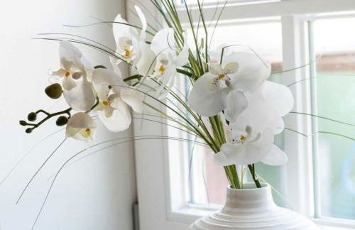 Ferienwohnungen von Schassen - Photo 45