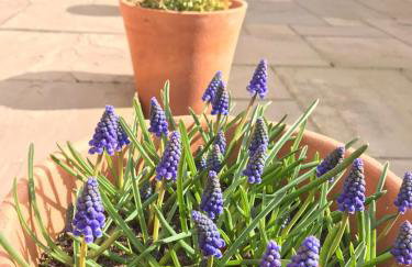 The Old Granary - Foto 58