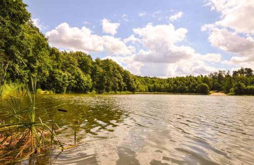 Modrzewiowe Wzgorze - Foto 30