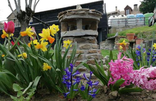 Casa Rural Basajarau - Photo 11