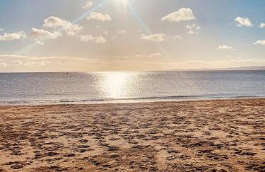 The Apple Shed - cosy cabin nestled in orchard in rural Devon - Foto 35