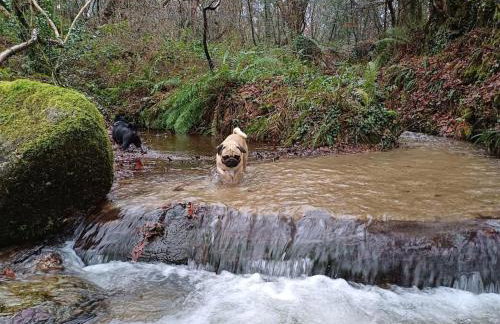 The Conifers 3 Room Small but Stylish Self Catering Bedsit Flat in Nature Reserve Free Eden taxi b4 9pm no lounge - Photo 31