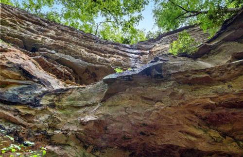 Beech Timber- 30 Acre Secluded Glamping in RRG - Foto 41