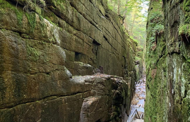 B2 NEW Awesome Tiny Home With A C Mountain Views Minutes to Skiing Hiking Attractions - Photo 22