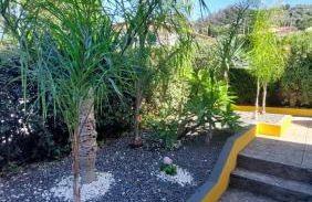 Villa Strelitzia - Foto 31