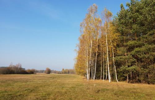 Ciche Podlasie - Foto 19