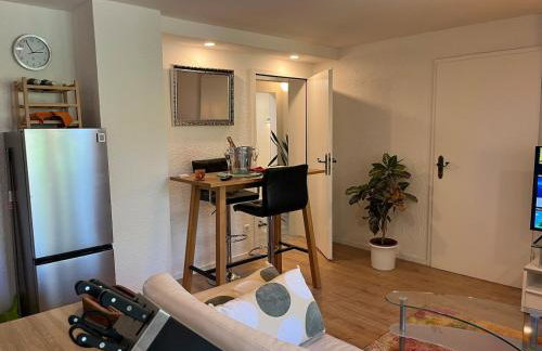 Garden apartment - Foto 8