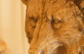 Sequoia Glen - Foto 46