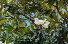 Αρχοντικό Πρεπάλα - Photo 21