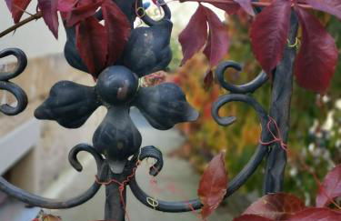 Vielstubenhaus - Ferienwohnung Marie - Photo 19