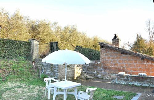 Montecasciano - Tulipano - Foto 18