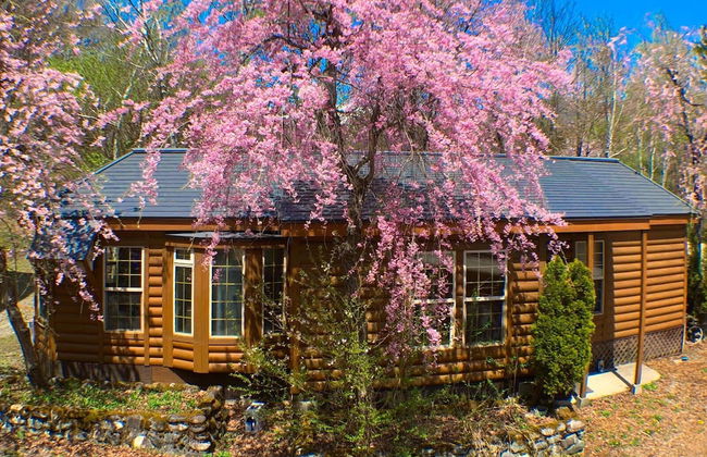 Hakuba Canadian Lodge - Foto 60