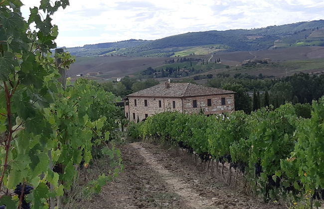 Cordella in Montalcino Wine Resort - Foto 38