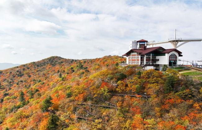 Mona Yongpyong Tower Condominium - Foto 59