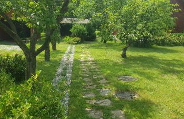 Szyszka i Róża Domek na Jurze - Foto 30