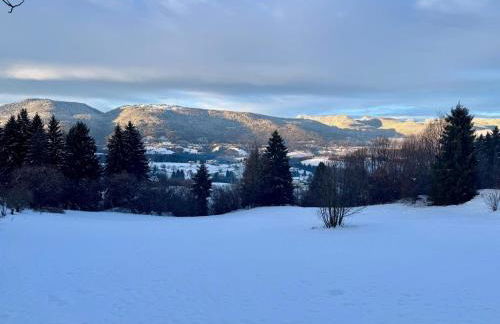 Cuori, Cervi e Caprioli - Foto 40