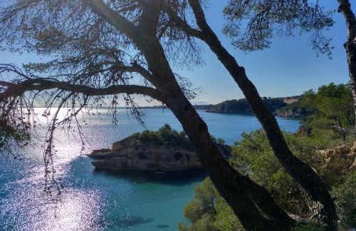 Estupendo piso en L'AMPOLLA - Foto 1