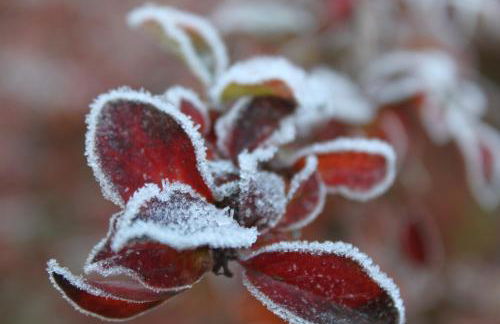 Haus "üm de Eck" - Die Kapitänswohnung - Foto 45