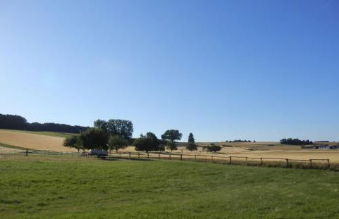Ferienhaus mit zwei 4 Sterne Wohnungen bei Limburg - Foto 90