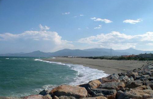 La Marina - Foto 44