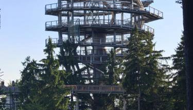 Bergzauber Bayerwald - voll ausgestattetes Familienapartment mit Pool - Foto 5