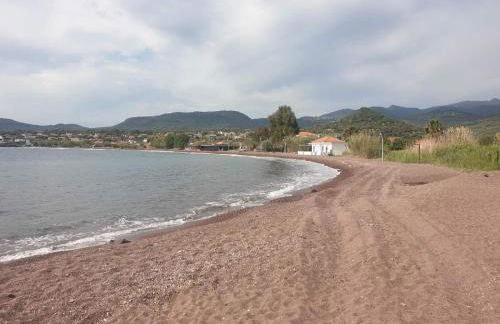 Seaside Apartment in Tsonia - Photo 33