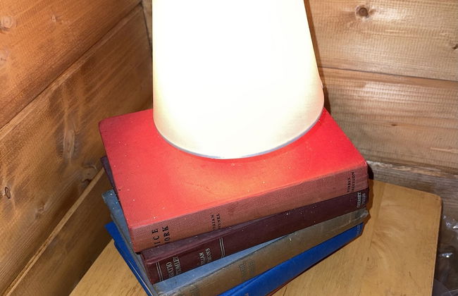 Retro Lodge nr Dartoor With hot tub & opt Sauna - Foto 2