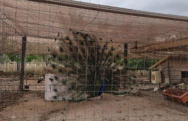 Casa rural Cabaña de la Huerta - Foto 30