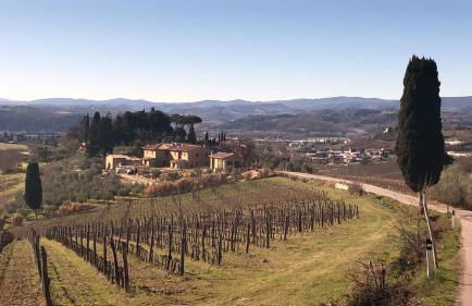 Laura Chianti Vacanze - Photo 23