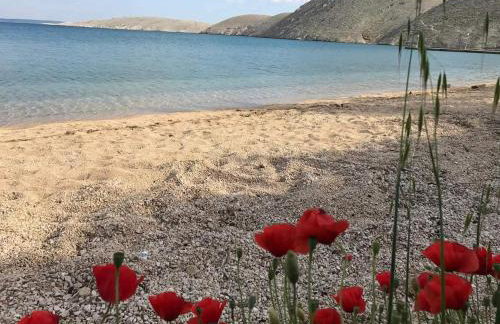 Charming apartment piccolo paradiso - Photo 1