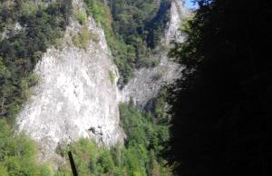 Pokoje u Pitera - Foto 13