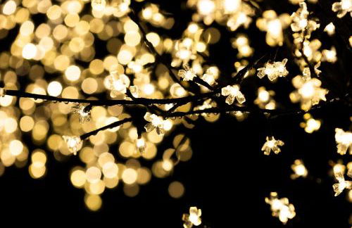 Villa Carmen by Basquelidays - Foto 44