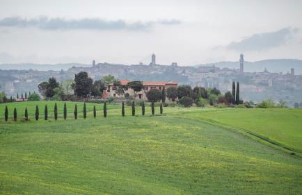 Santa Colomba House, Siena, Nature And Pool - Foto 64