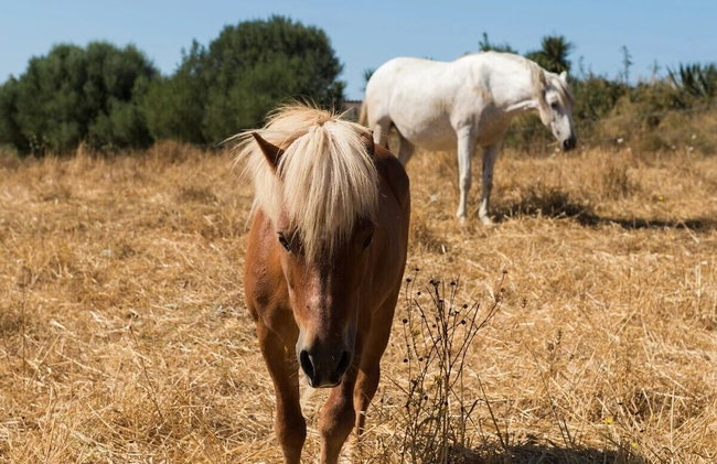 Hotel Rural Can Feliu - Photo 46