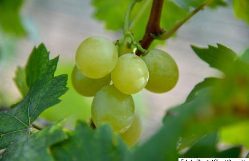 Studio apartman CENTAR - Foto 26