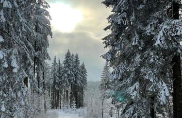 FeWo Gipfelglück - Foto 21