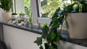 Bed & Coffee City Apartment - Foto 3