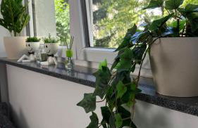 Bed & Coffee City Apartment - Foto 3