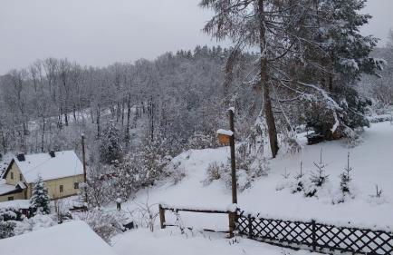 Ferienwohnung Erzgebirgswohnung Götze - Foto 49