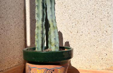 Private Solarium - Golf and Pool View - Las Ramblas 830 - Foto 30