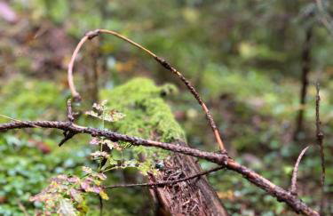 Erzgebirgsglück Jöhstadt EG - Foto 22