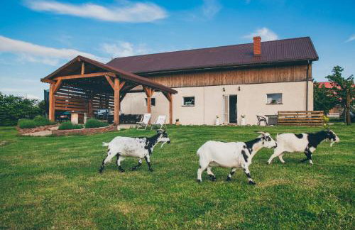 Agroturystyka Nad Łąkami - Foto 50